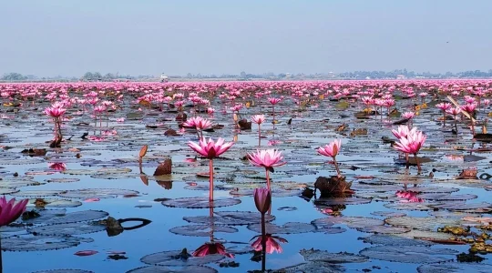 タレーブアデーン